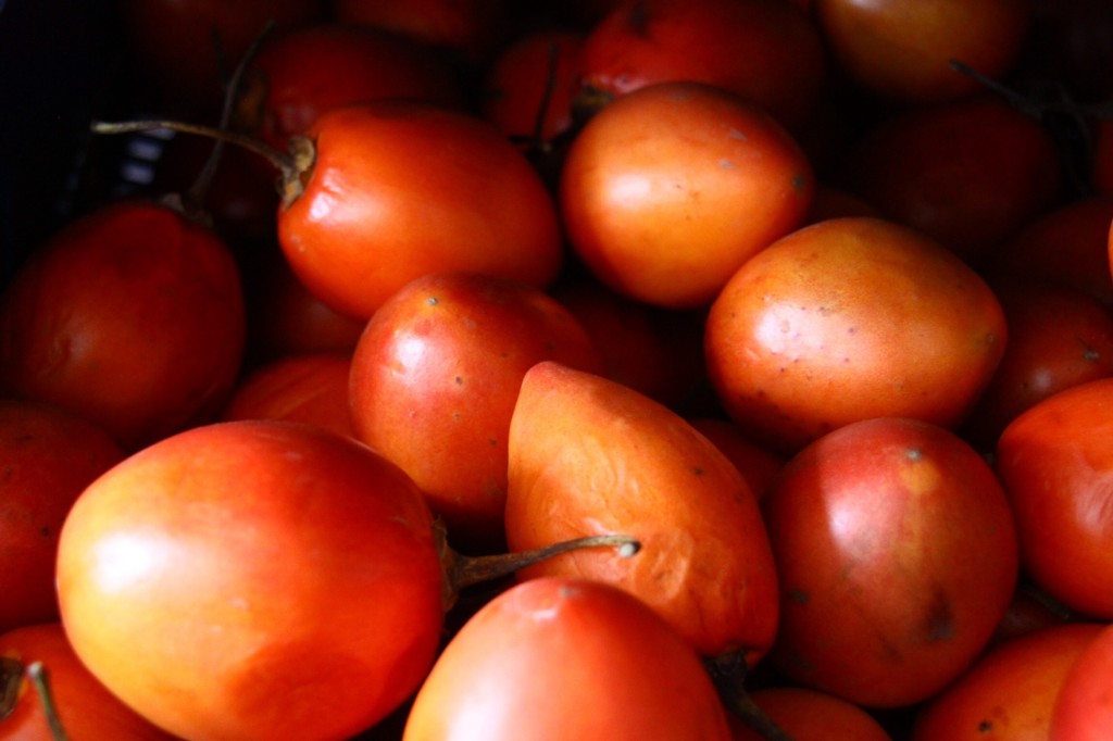 tomate de arbol tamarillo