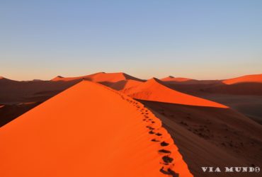 Wszystkie oblicza pustyni Namib